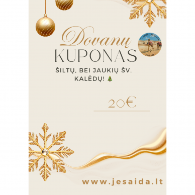 Gift Coupon €20