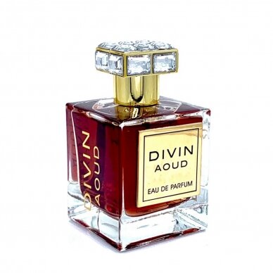 French Avenue DIVIN AOUD 1